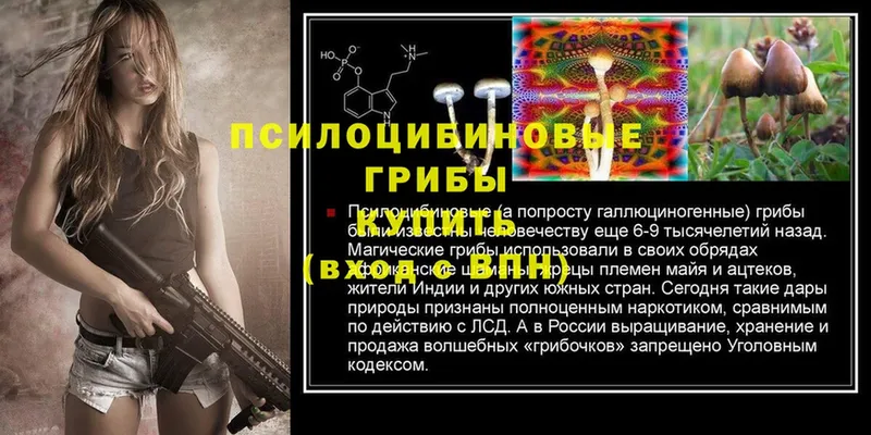 мориарти телеграм  Комсомольск  Псилоцибиновые грибы MAGIC MUSHROOMS 